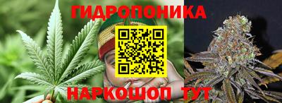 эйфоретик Будённовск