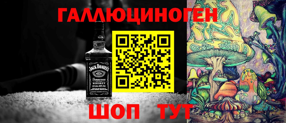 Псилоцибиновые грибы Psilocybine cubensis Серпухов