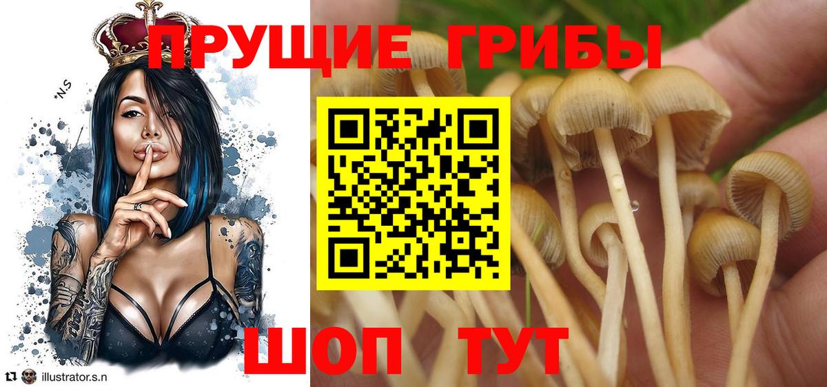 Серпухов  Галлюциногенные грибы MAGIC MUSHROOMS  Вход с VPN 